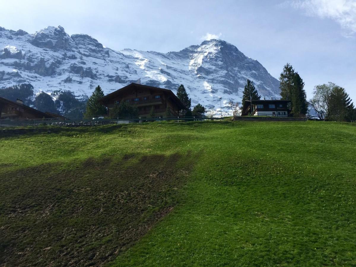 Amazing Eiger Apartmán Grindelwald